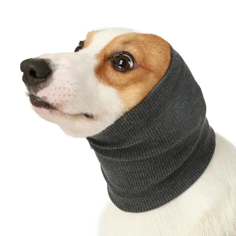 Cuello protector de oído para perros